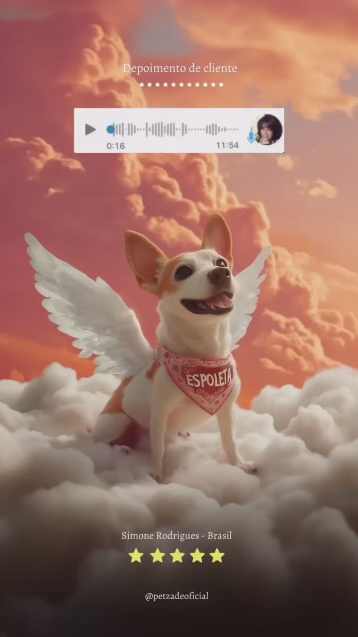 Carregar vídeo: 